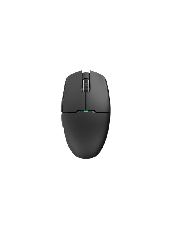 Mice