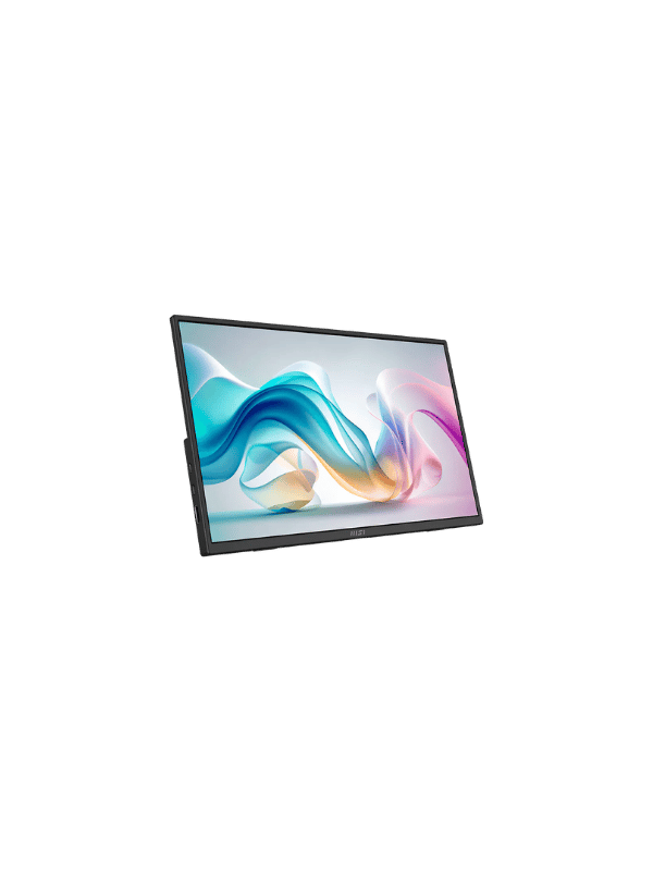 MSI PRO MP165 E6 PORTABLE MONITOR, 60HZ, 15.6″, 4MS
